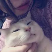 ゆきの画像