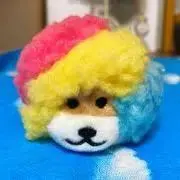 みかん✳︎まとめ買い大歓迎！！⭐︎の画像