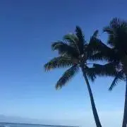ポンタの画像