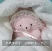 ( ᴖ ̫ᴖ )♩の画像