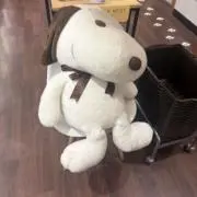 あいす