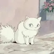 pinoの画像