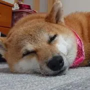 りーた