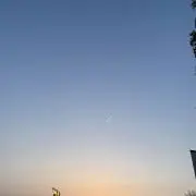 沼