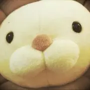 ロコモア