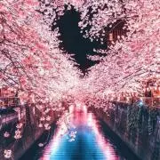 ⭐︎せいな⭐︎説明、プロフィール必須の画像