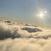 さいんの画像