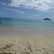 わたしだよ