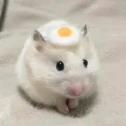 kanakoooo