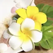 mahina  ♡フォロー割ありますの画像