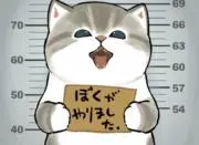 マツシユの画像