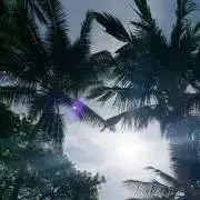 ☆0429☆の画像