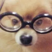 ぶぶりん ※プロフィールお読みください※の画像
