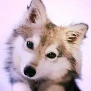 ミーナ+*♡*。゜
