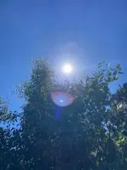 ruu__迅速発送の画像