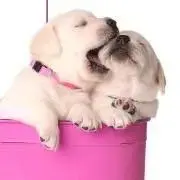 シピ♡の画像