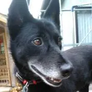 ラックちゃん