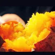 耐熱てぶくろ