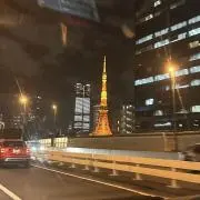 ゆうちゃんの画像