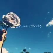 ダンボ愛好家の画像