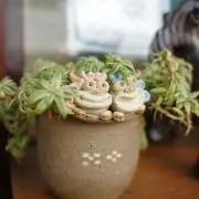 sayaの画像