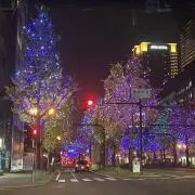 waの画像