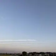 Yの画像