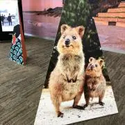 やーまんの画像