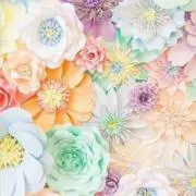 のん☆の画像