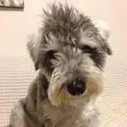 ☆ 発送まで時間を要しますの画像