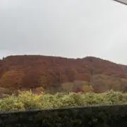 maruharuの画像