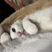 りょーーたの画像