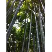 福岡修