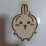 うーちゃんの画像