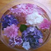 ♪̊̈プロフ必読♪̆̈ KSKの画像