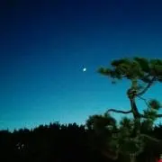 ゆらゆらルンナ♪