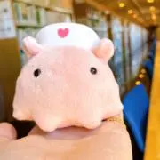 めんだこの画像