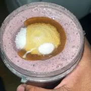 パピヨンの画像