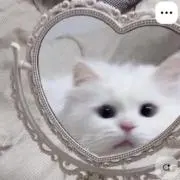るんの画像