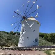 raの画像