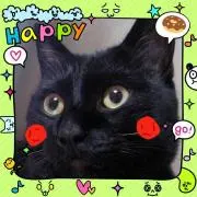 ねこの画像