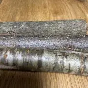 きょうきょうの画像