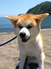 あきっちの画像