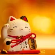 Shinの画像