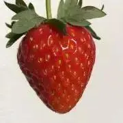 cozyGAの画像