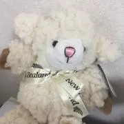 sayu
