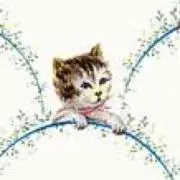 momonyanの画像