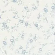 アポロの画像