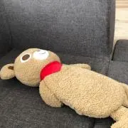 ゆーたの画像