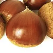 あまぐりの画像